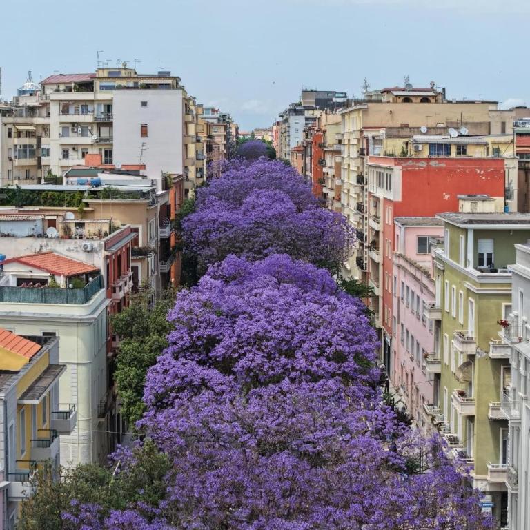 Center Suite Cagliari - Monolocale con Vista Giardino - 31