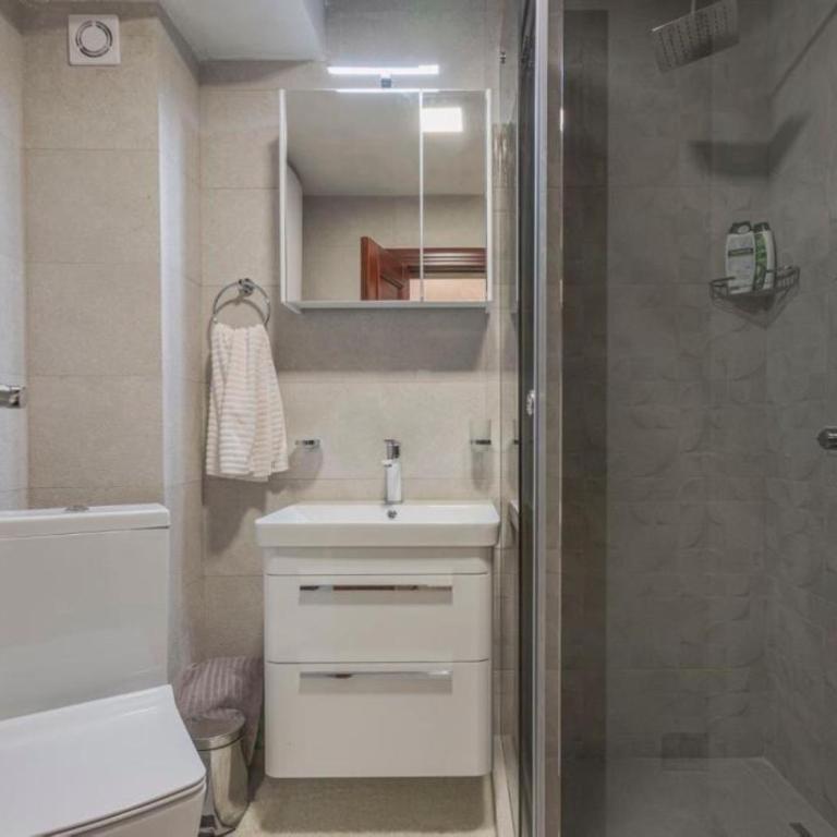 Apartment Mila in Old Town - Apartman sa 1 Spavaćom Sobom - 14