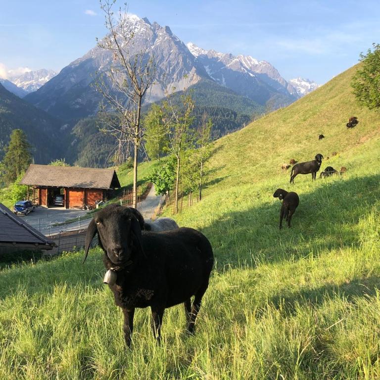 Ferienstudio Tanter Dossa - Apartment mit 2 Schlafzimmern - 25