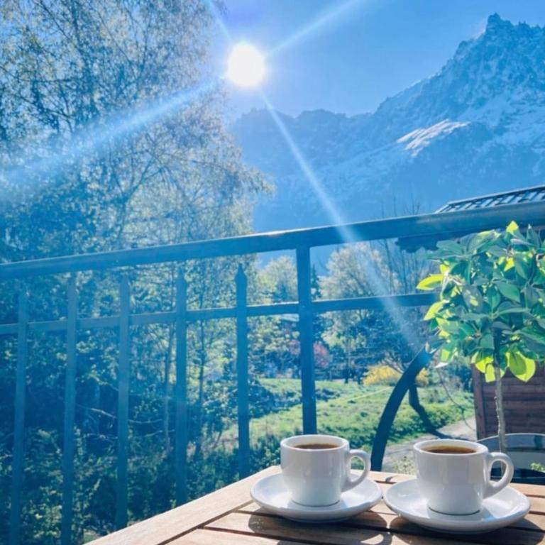 Apartment overlooking Mont Blanc with parking - Apartamento - 13