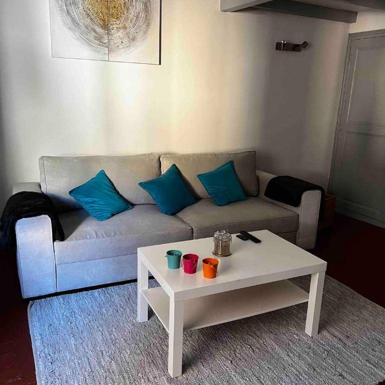 Bel appartement centre ville historique piéton - Apartment mit 1 Schlafzimmer - 10