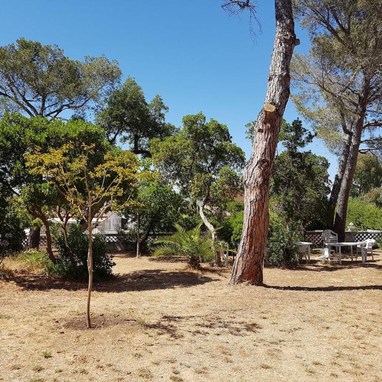 T3 avec jardin, 8 min de la plage - Le Hamon - Three-Bedroom Apartment - 10