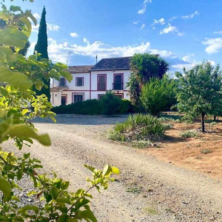 Las maravillas de Manuel By Solymar Properties - Casa de 7 dormitorios - 1