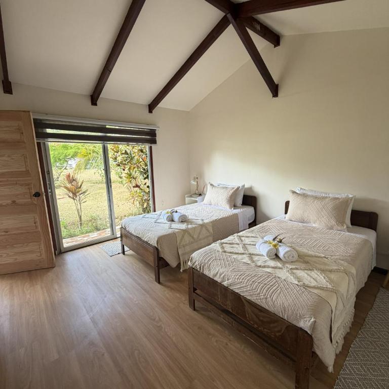 Cabañas Anariki - Twin Room - 1