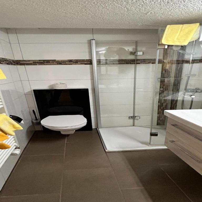 Chalet in Saas Fee near Ski Slopes - Apartment mit 1 Schlafzimmer - 3