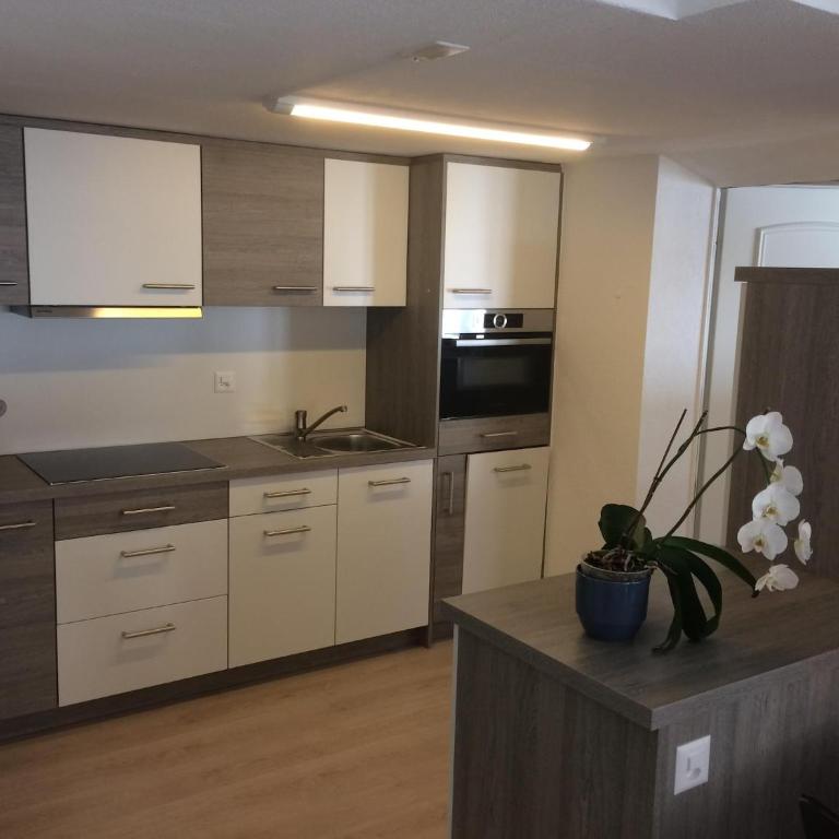 Chalet in Saas Fee near Ski Slopes - Apartment mit 1 Schlafzimmer - 28