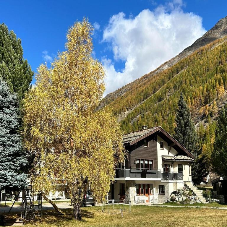 Chalet in Saas Fee near Ski Slopes - Apartment mit 1 Schlafzimmer - 6