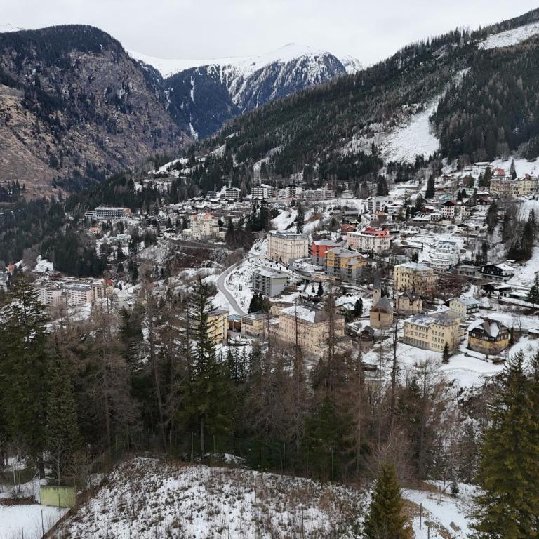 Modern apartment with alpine charm in Bad Gastein - Apartment mit 2 Schlafzimmern - 31