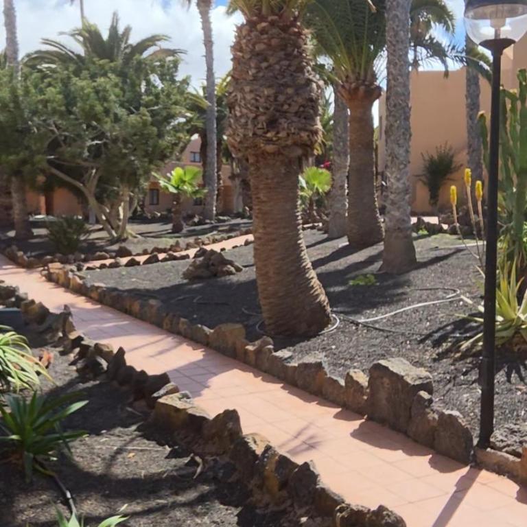 Fuerte Happy Stay - Apartamento de 1 dormitorio - 22