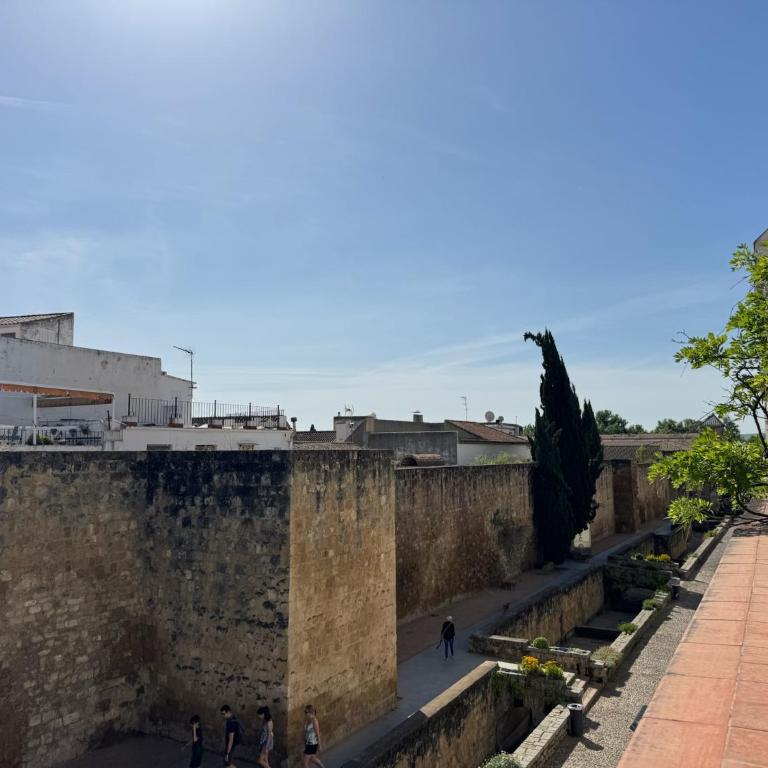 Apartamento Algafequi con terraza privada - Apartamento con terraza - 31