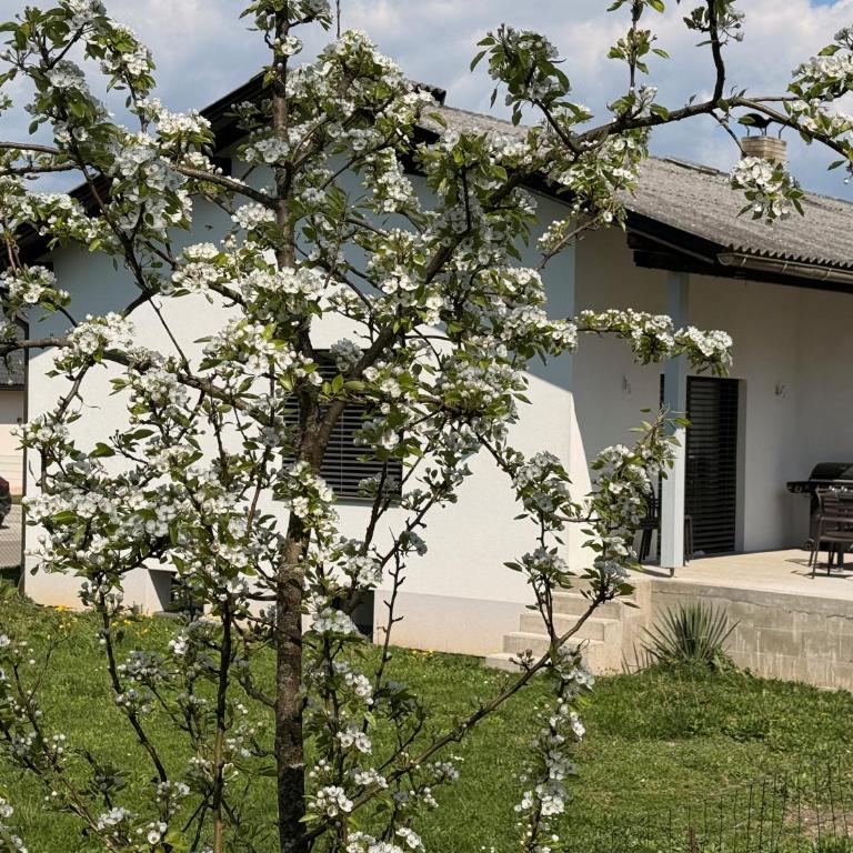 Aussichtsstraße - Wunderschön renoviertes Einfamilienhaus in See- und Stadtnähe - Haus mit 2 Schlafzimmern - 50