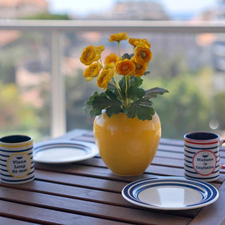 Centre juan les pins 2P pkg Elfira - Superior Apartment with City View - 19