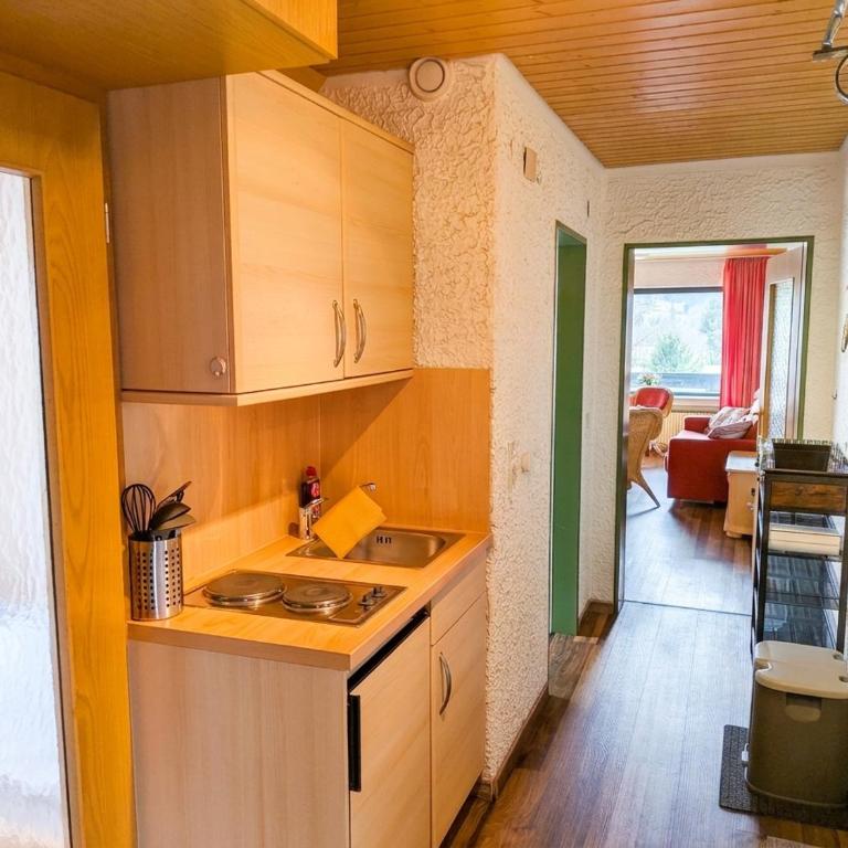 Bergblickstube I WIFI I Sport - Apartment mit 1 Schlafzimmer, Balkon und Bergblick - 4