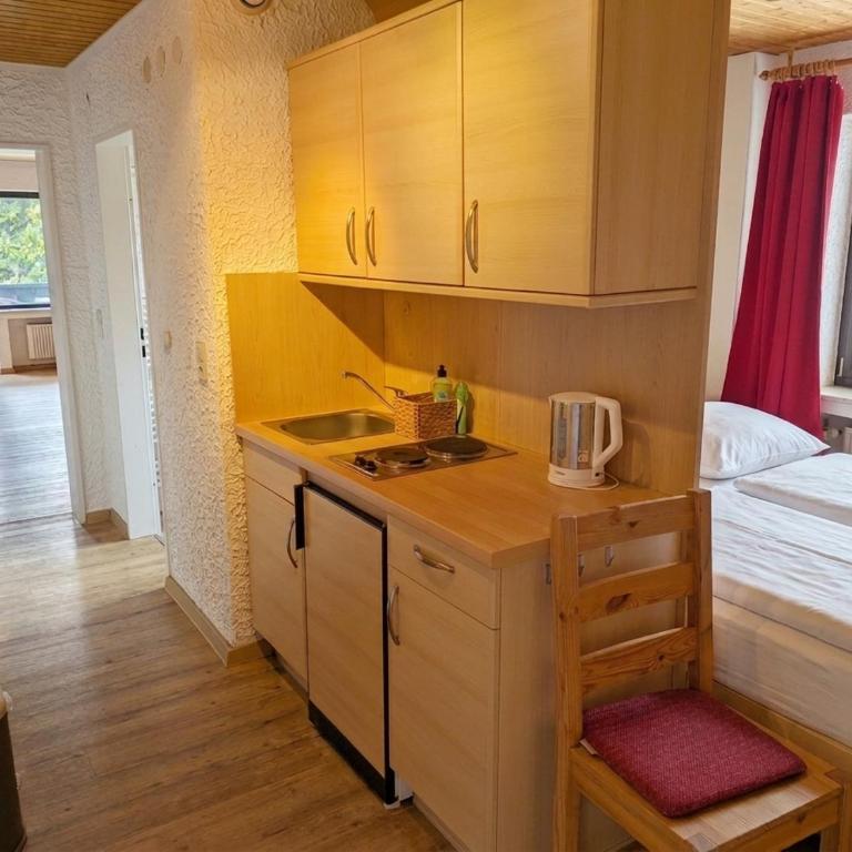 Bergblickstube I WIFI I Sport - Apartment mit 1 Schlafzimmer, Balkon und Bergblick - 10