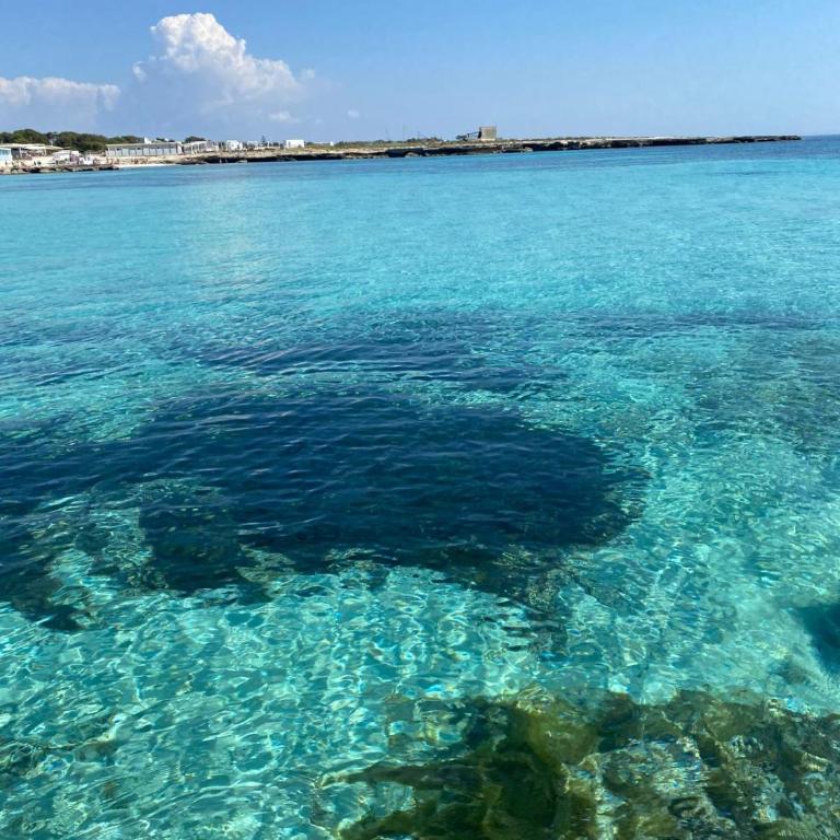 Al centro con panorama Favignana Isole Egadi - Appartamento con 2 Camere da Letto - 7