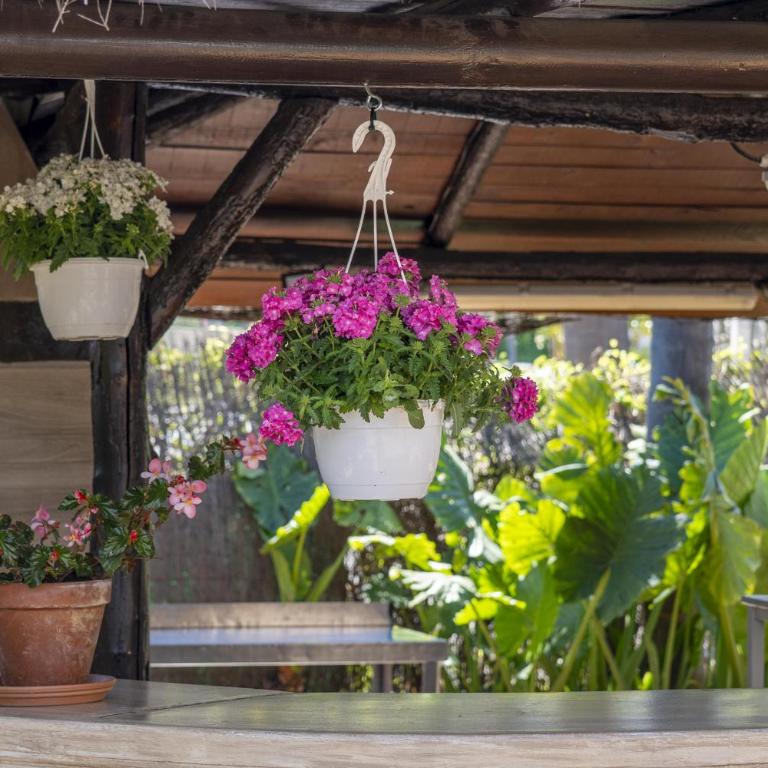 Cubo's Casa El Candil - Vacation Home - 50