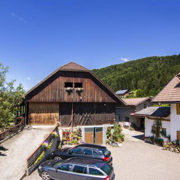 Haus Ploner - Pichlerhof - Appartamento con 1 Camera da Letto - 23