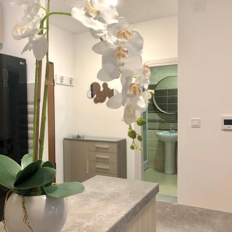 Mina Apartment - One-Bedroom Apartment - 9