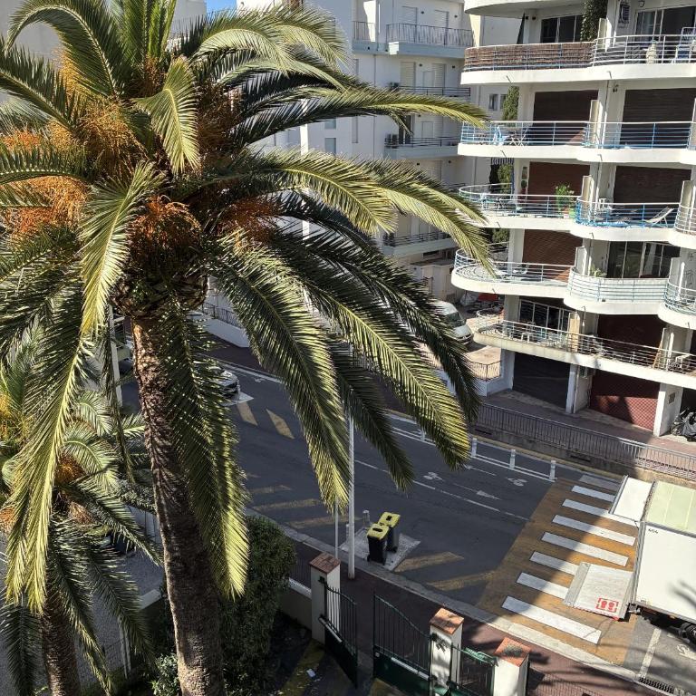 Palais Miami - Appartamento Superior con 2 Camere da Letto - 3