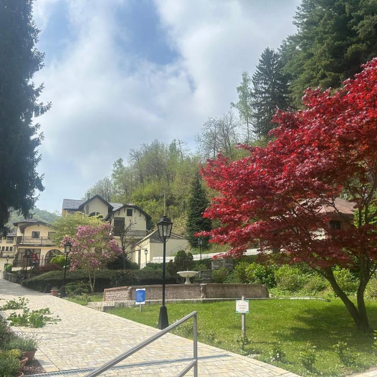 Appartamento a Paganotti - Appartement 1 Chambre - 53