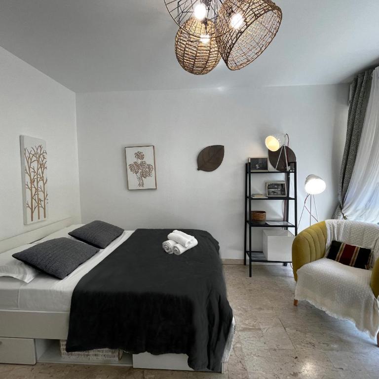 A G Cocon Massenet 2 - Grimaldi - Promenade Des An - Studio Standard - 2