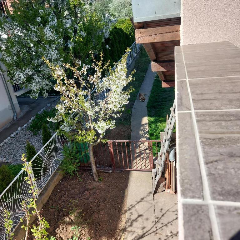 Studio Vuk - Apartman sa 1 Spavaćom Sobom - 27
