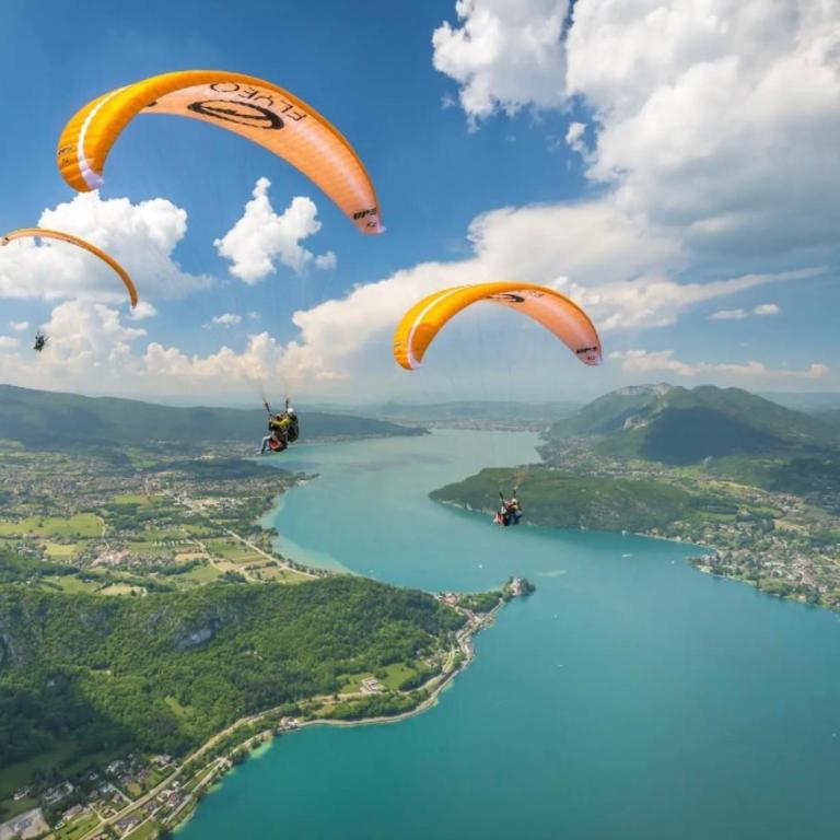 lake view chalet Doussard Annecy - Chalet 2 Chambres - 4