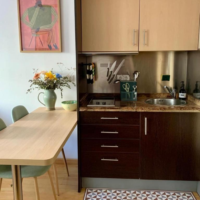Apartamentos plaza América , Oviedo centro - Apartamento Estándar - 4