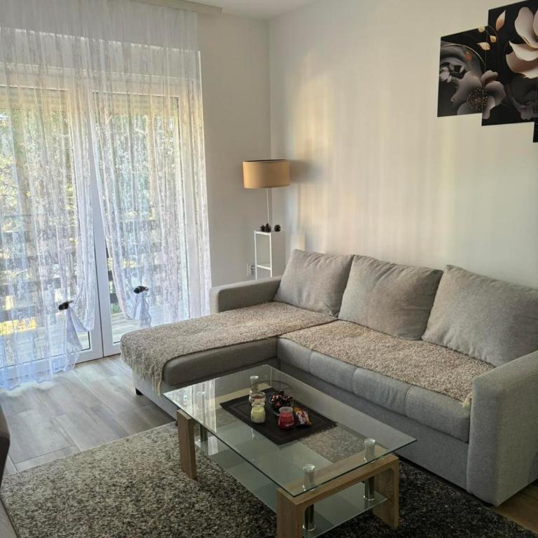 Apartman Davidovic - Apartman sa 1 Spavaćom Sobom - 2