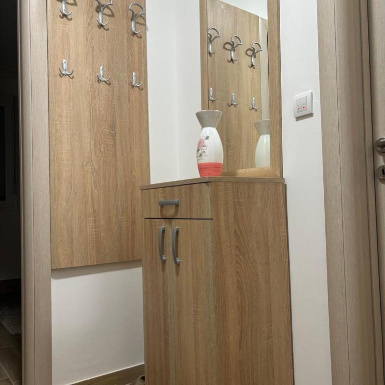 Apartman Davidovic - Apartman sa 1 Spavaćom Sobom - 4
