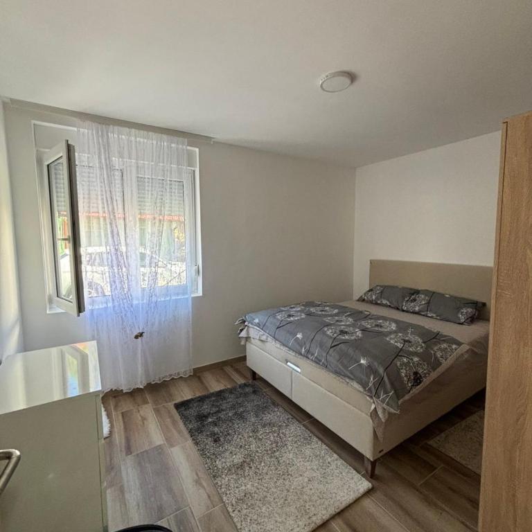 Apartman Davidovic - Apartman sa 1 Spavaćom Sobom - 9