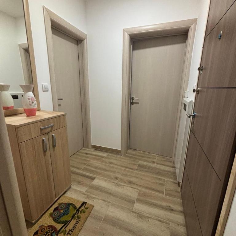 Apartman Davidovic - Apartman sa 1 Spavaćom Sobom - 10