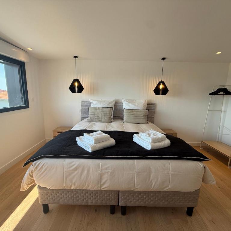 Logement insolite vue sur les avions de Biscarrosse Airpark - Apartment mit 2 Schlafzimmern und Aussicht - 19