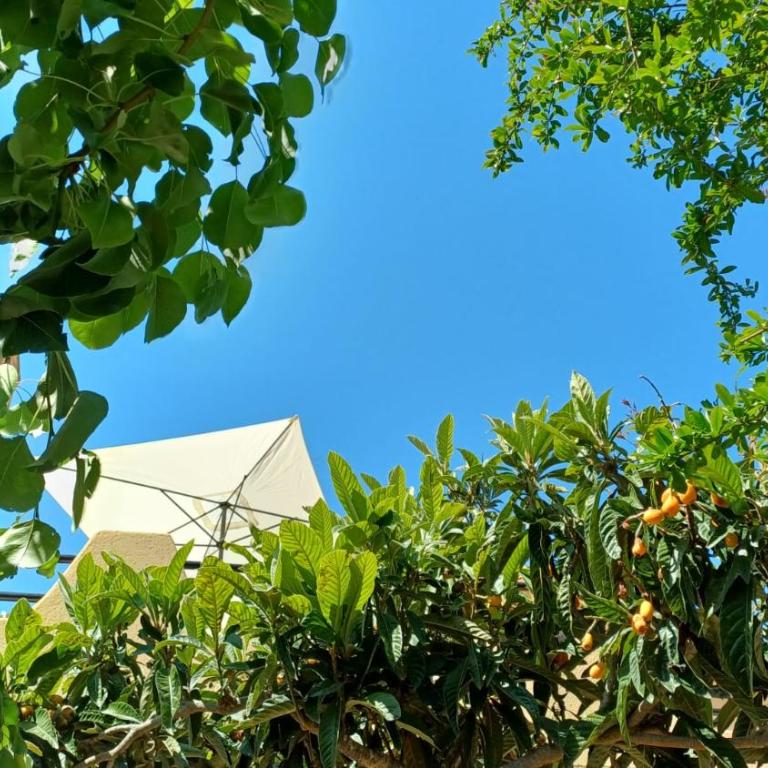Villa Frantina - Villa con Vista Giardino - 44