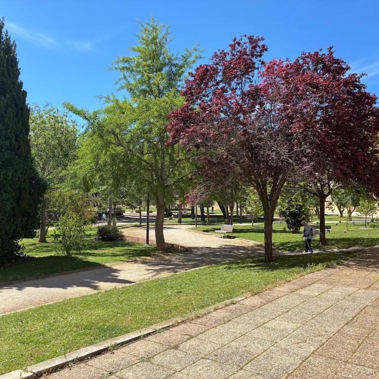 Studio 25m2 à deux pas des thermes - Appartement 1 Chambre - 9