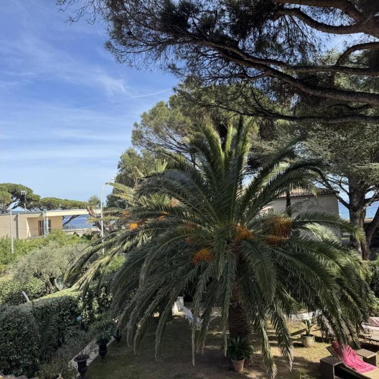 Villa Équipée avec Jardin à 50m de la Plage et Commerces - FR-1-100-238 - Villa - 16