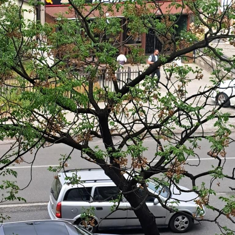 Apartment Winner - Two-Bedroom Apartment - 27