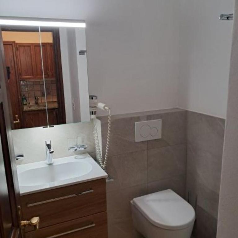 Aparthotel Al Lago - Camera Standard Matrimoniale/Doppia con Letti Singoli con Balcone - 6