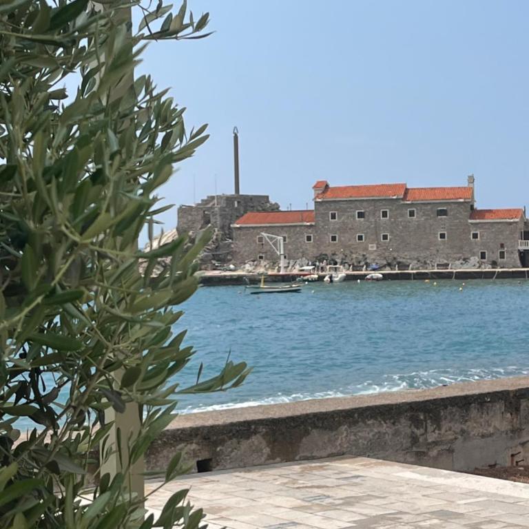 Petrovac apartman Saša - One-Bedroom Apartment - 14