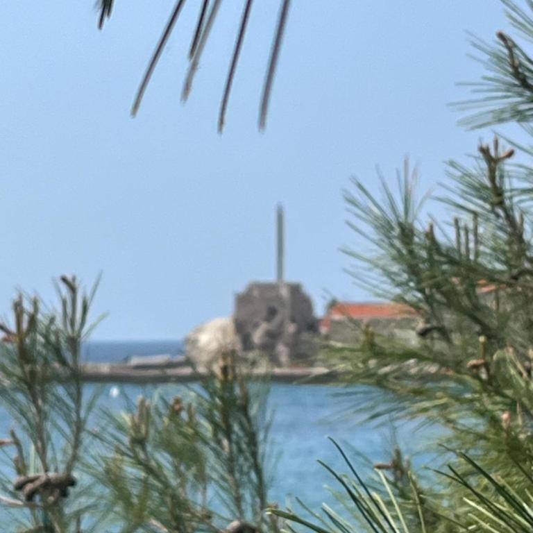 Petrovac apartman Saša - One-Bedroom Apartment - 3