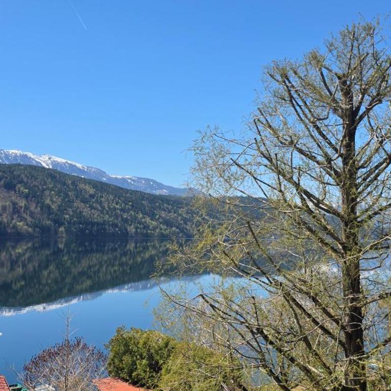 Ferienwohnungen Fischerhaus - direkt am See - Familienapartment mit Seeblick. - 15