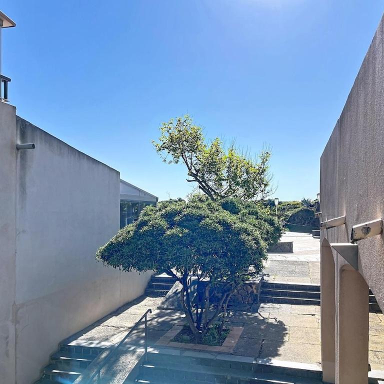 Le Cocon des Falaises 1ch, clim, wifi, terrasse - Apartment mit 1 Schlafzimmer - Meerseite - 13