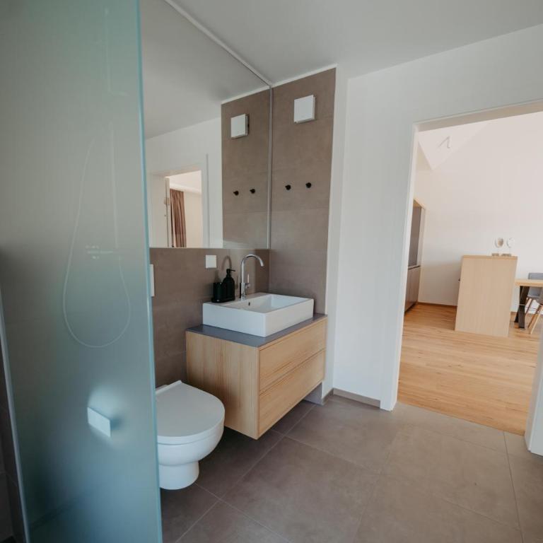 RELAX APARTMENTS An der Lage Hochgraßnitzberg - Apartment mit Balkon - 20