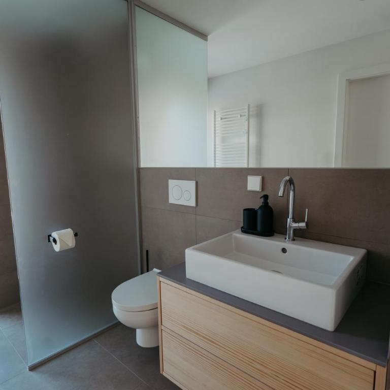 RELAX APARTMENTS An der Lage Hochgraßnitzberg - Apartment mit Balkon - 22