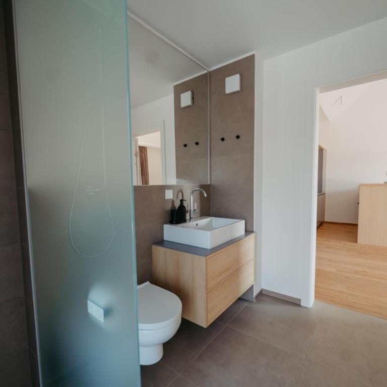 RELAX APARTMENTS An der Lage Hochgraßnitzberg - Apartment mit Balkon - 14