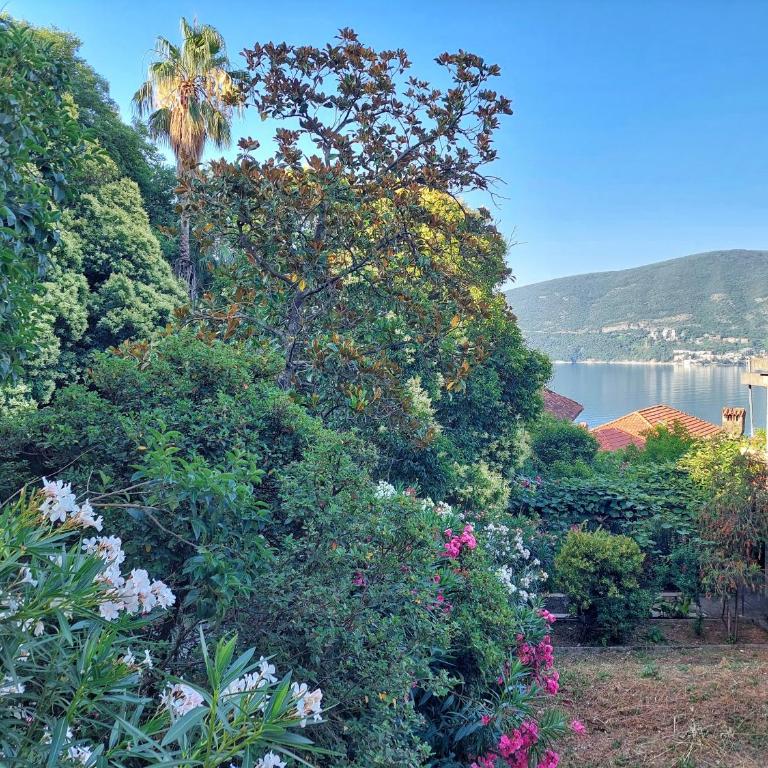 City Center Apartment-Old Town Terrace retreat - Apartman - 20