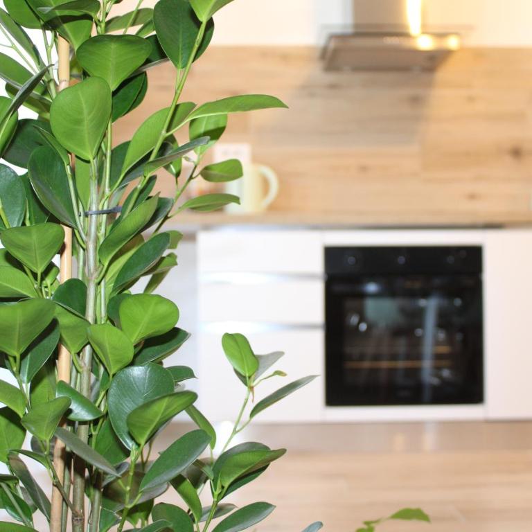 Solis Suite 22 - Appartamento con 1 Camera da Letto - 32