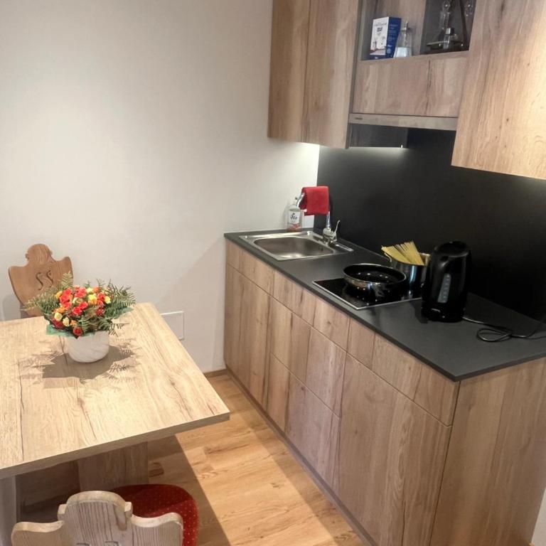 Haus Schaller - Studio mit Bergblick - 15