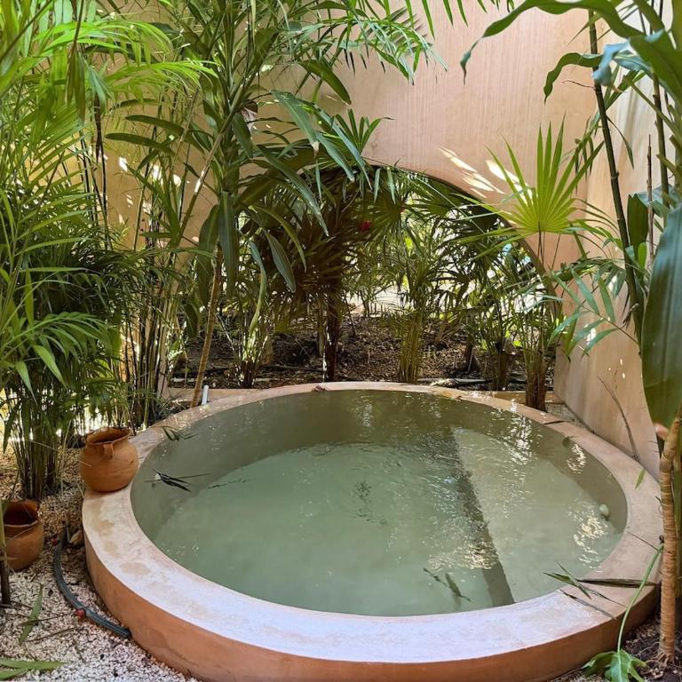 Wellness & Organic Apartment - Apartamento de 1 dormitorio - 20