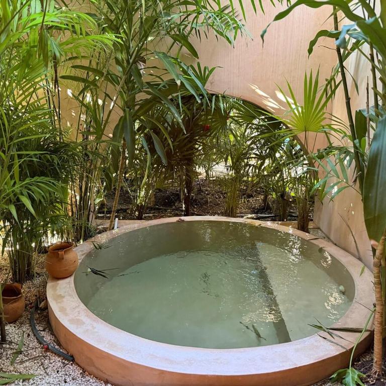 Wellness & Organic Apartment - Apartamento de 1 dormitorio - 39